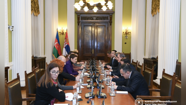 Azərbaycan və Serbiya arasında strateji tərəfdaşlıq münasibətlərinin perspektivləri MÜZAKİRƏ EDİLDİ - FOTO