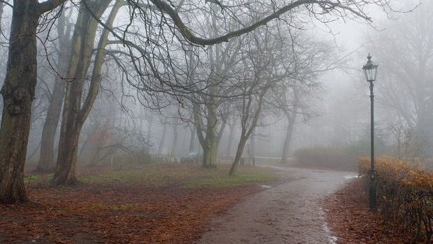 Külək əsəcək, duman olacaq &ndash; HAVA PROQNOZU