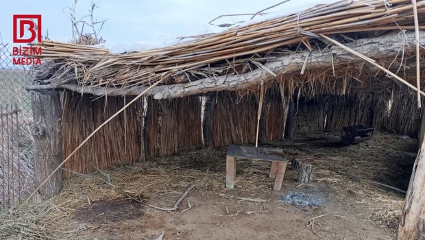 Salyanda ərini öldürüb, meyitini parçalayan Mətanət tanınmış cərrahın qızıdır &ndash; YENİ DETALLAR/FOTO