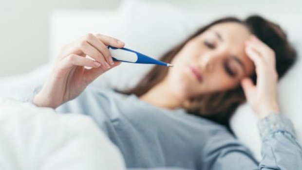 Gürcüstanda "donuz qripi"nə kütləvi YOLUXMA – Ölənlər var