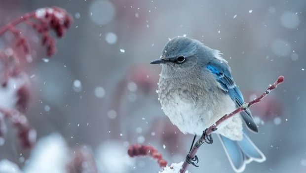 Sabah hava necə olacaq? &ndash; PROQNOZ 