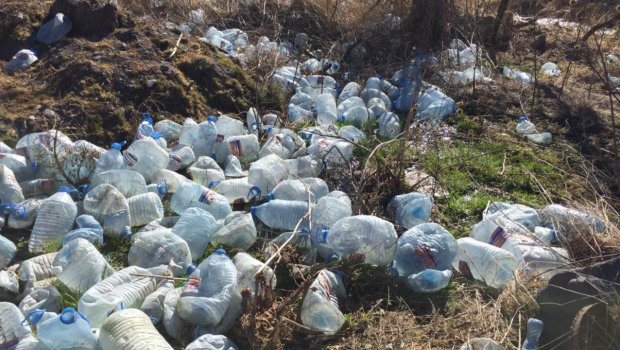 Laçındakı bulağı bu vəziyyətə saldılar... &ndash; FOTO