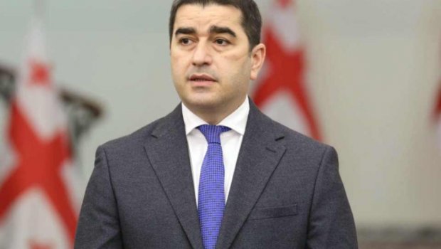 Şalva Papuaşvilidən AŞPA-nın qətnaməsinə REAKSİYA: "Ədalətli münasibət olmasa..."