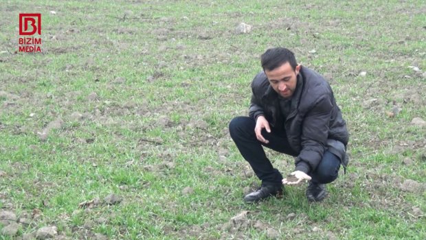 Qara həsrət qalan Şimal-qərb BÖLGƏSİ &ndash; Təsərrüfatlar böyük təhlükə ilə ÜZ-ÜZƏ &ndash; FOTO