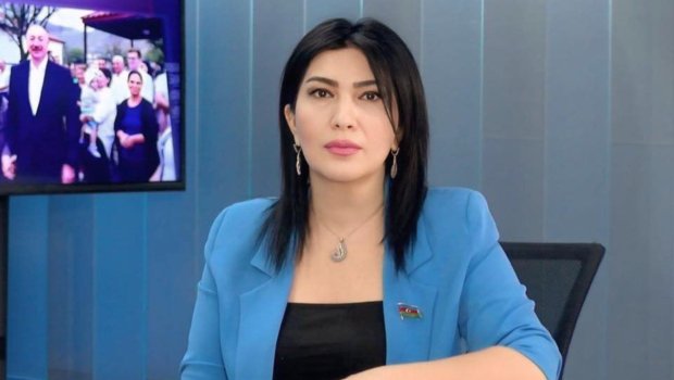 &ldquo;Hər deputat təmsil etdiyi rayonun məktəblilərinə kitab hədiyyə etsin&rdquo; &ndash; Elnarə Akimova