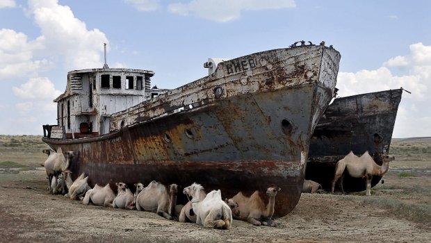 Dünyanı yeni ekoloji fəlakət gözləyir - Alimlərdən XƏBƏRDARLIQ