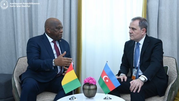 Azərbaycan və Qvineya arasında beynəlxalq platformalarda əməkdaşlıq müzakirə edildi - FOTO