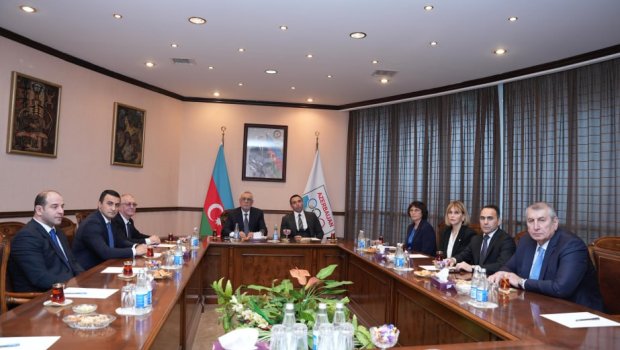 Milli Olimpiya Komitəsinin vitse-prezidentləri seçildi - ADLAR