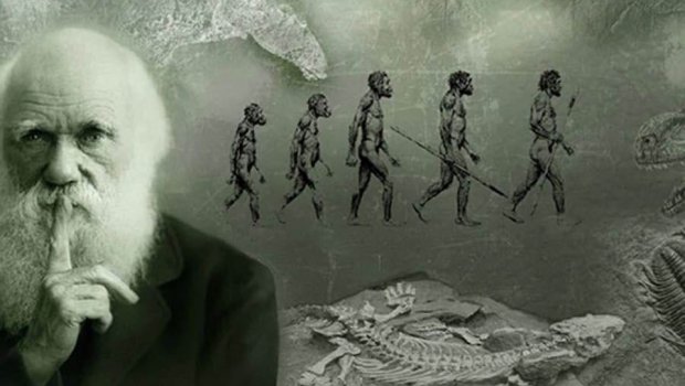 Alimlər insanların 1000 ildən sonra necə görünəcəklərini açıqladı - FOTO