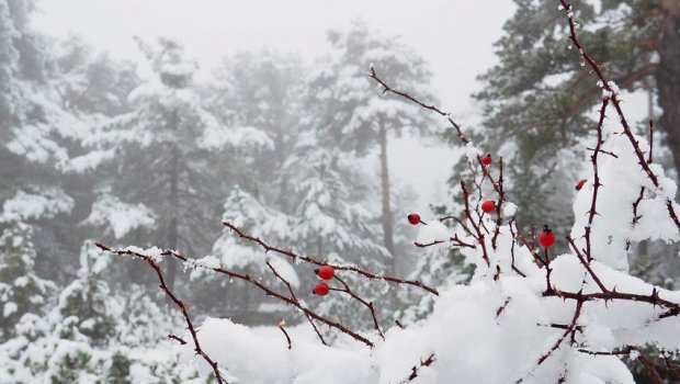20 dərəcə şaxta olacaq &ndash; Hava ilə bağlı növbəti XƏBƏRDARLIQ