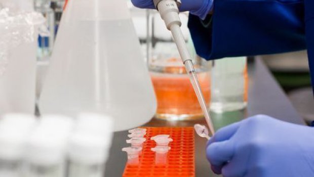 Yeni ölümcül virus YAYILDI: Malyariyadan da təhlükəlidir