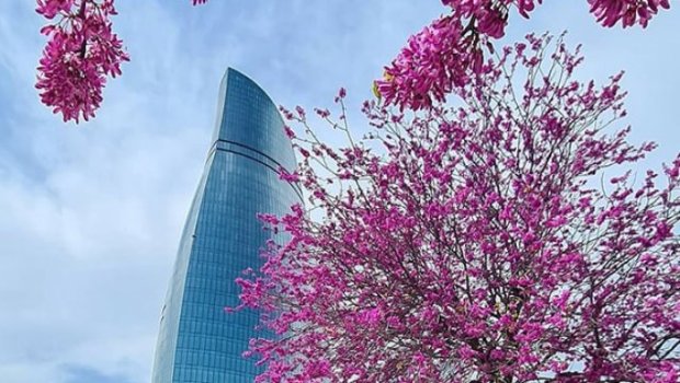 Sabah 25 dərəcə isti olacaq &ndash; PROQNOZ