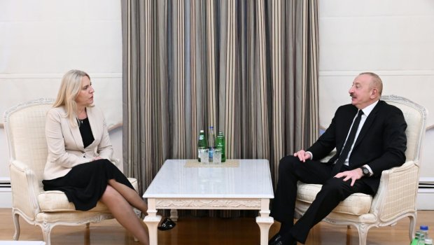 İlham Əliyev Bosniya və Herseqovinanın Rəyasət Heyətinin Sədri ilə görüşdü - FOTO/VİDEO