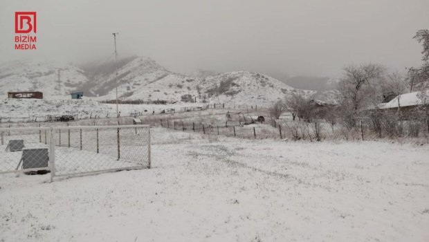 Şimal bölgəsi yenə ağ örpəyə BÜRÜNDÜ &ndash; FOTO