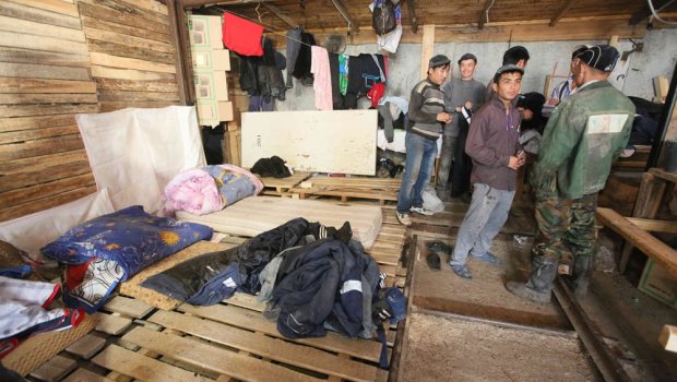 Rusiyalı nənədən qeyri-adi CİNAYƏT – 83 miqrantı... - FOTO