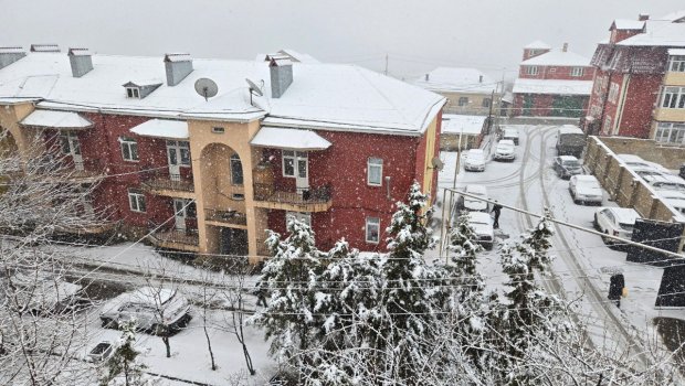 Qusardan maraqlı GÖRÜNTÜ