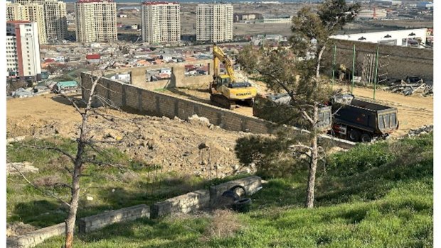 Badamdarda sürüşmə zonasında 40 illik şam ağacları məhv edildi &mdash; Yerində obyekt tikən kimdir? - FOTO/VİDEO