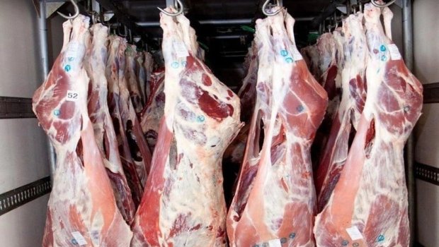 173 ton yararsız əti ölkəmizə kim GƏTİRİB? &ndash; Gizli faktlar ÜZƏ ÇIXDI