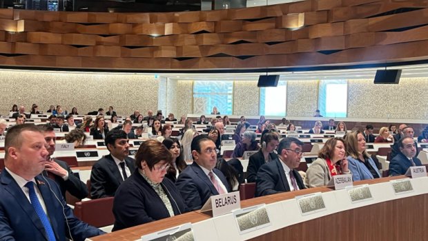 Cenevrədə beynəlxalq forumda Azərbaycanda aparılan sosial islahatlara dair məlumatlar verildi - FOTO