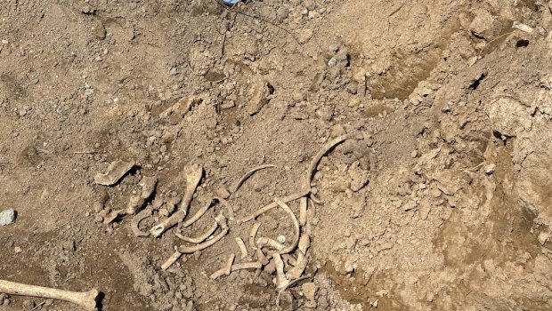 Qubadlıda insan skeletinin qalıqları TAPILDI