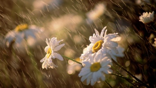 Hava kəskin dəyişəcək: Leysan, sulu qar... &ndash; XƏBƏRDARLIQ