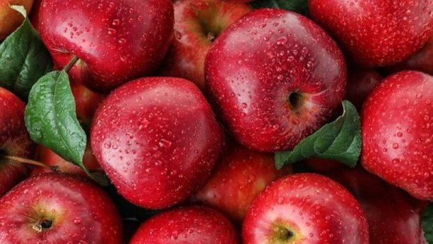 Almanı zəhərə çevirən hamının etdiyi məşhur səhv AÇIQLANDI