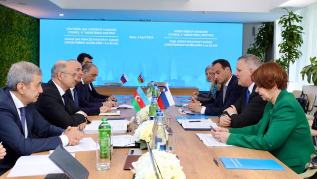 Azərbaycan və Sloveniya arasında energetika sahəsində əməkdaşlıq üzrə Anlaşma Memorandumu imzalandı - FOTO
