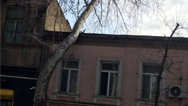 Bakıda ağac evin üzərinə aşdı