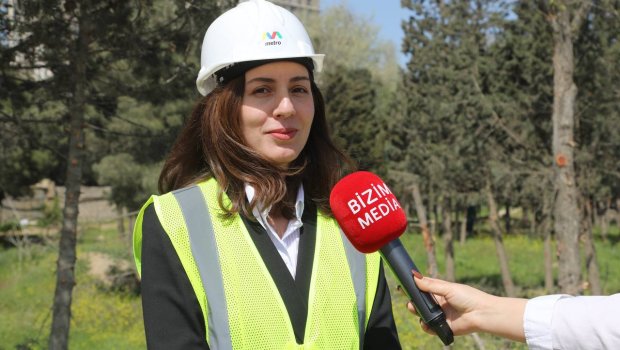 Depodan 446 ağac KÖÇÜRÜLƏCƏK