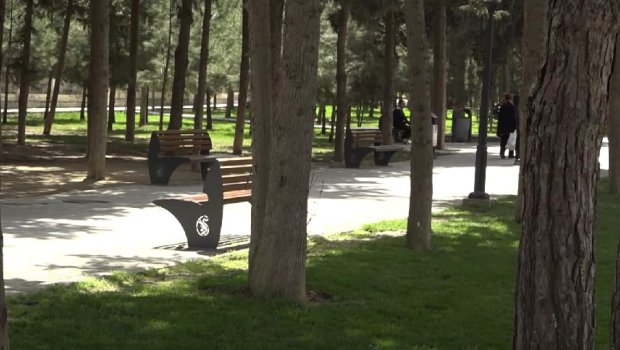 Qan içində yerdə çabalayırmış: Sevincin cinayətinin şahidləri DANIŞDILAR &ndash; VİDEO