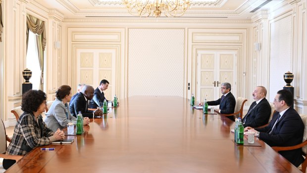 İlham Əliyev Beynəlxalq Əmək Təşkilatının Baş direktorunu qəbul edib - FOTO