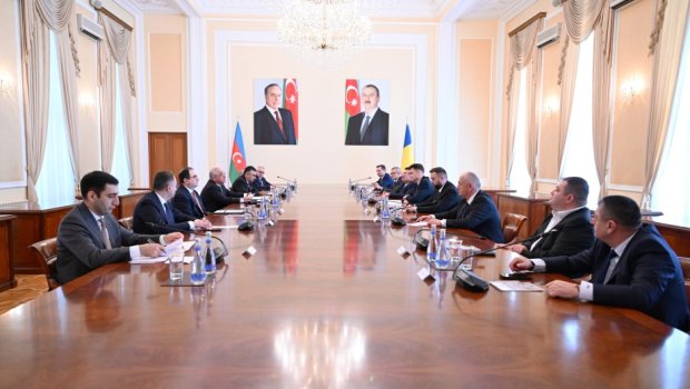 Baş nazir Rumıniya Parlamenti Senatının sədrini QƏBUL ETDİ