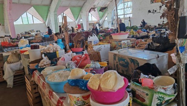 Bərdə bazarında satılan pendir və nehrə yağlarında bakteriya aşkarlandı &ndash; FOTO