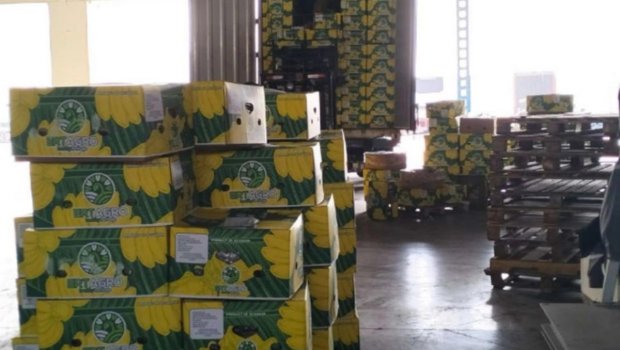 Azərbaycana gətirilən 24 ton banan məhv edildi &ndash; FOTO