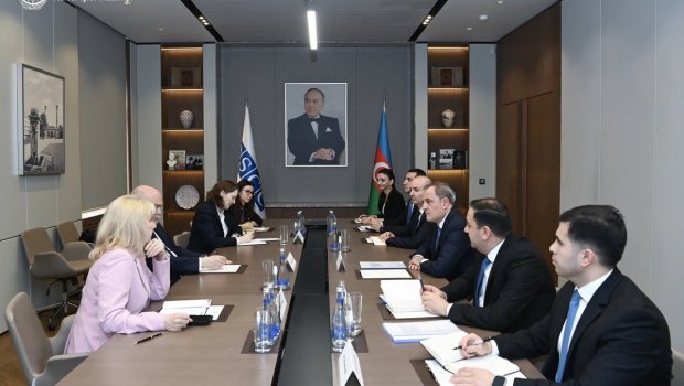 Ceyhun Bayramovla Feridun Sinirlioğlu arasında geniştərkibli görüş KEÇİRİLDİ - FOTO
