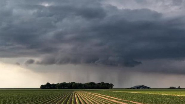 Fermerlərə məhsuldarlıqla bağlı XƏBƏRDARLIQ &ndash; &ldquo;Hava bir həftə də belə davam etsə...&rdquo;