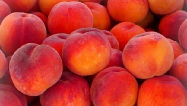 50 manata şaftalı? - Paytaxt bazarlarında əl yandıran QİYMƏTLƏR &ndash; VİDEO