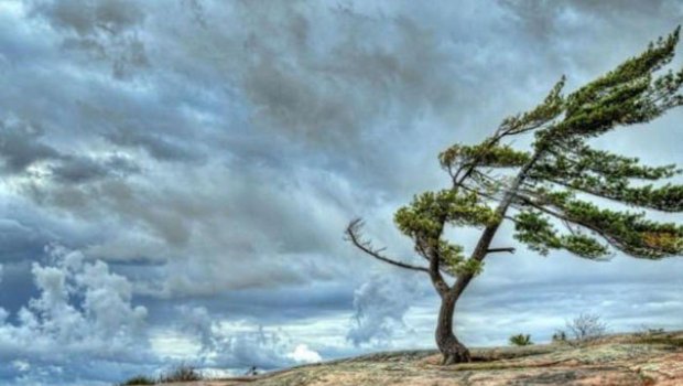 Küləklə bağlı XƏBƏRDARLIQ