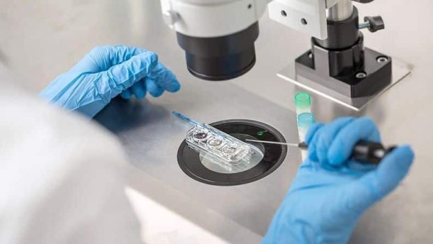 Süni mayalanma ilə bağlı HƏYƏCAN TƏBİLİ &ndash; &ldquo;Bacı-qardaş evliliyinə yol aça bilər&rdquo;