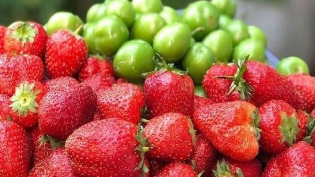 Mövsümündən əvvəl yetişən alça və çiyələklə bağlı QORXUNC TƏHLÜKƏ