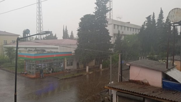 Astaraya leysan YAĞIB