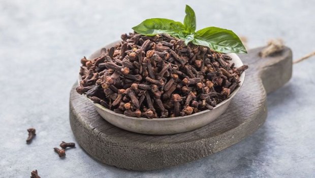 Təbii ANTİBİOTİK: Həkimlər mixəyi nəyə görə tövsiyə edir?