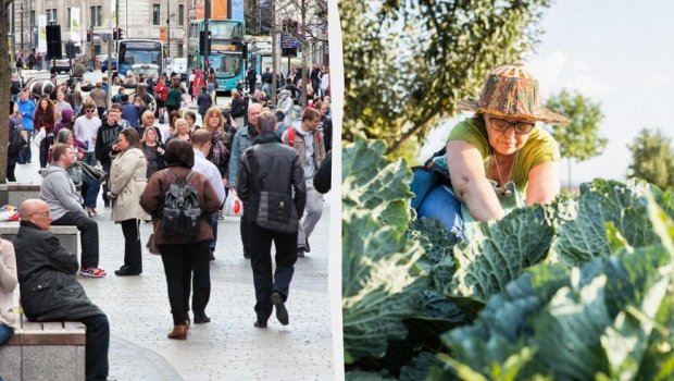 İnqilabi KƏŞF: Bu texnologiya hər şeyi DƏYİŞƏCƏK - 136 milyard insan...