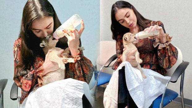 Leyla Əliyevanın şir balası ilə maraqlı VİDEOSU