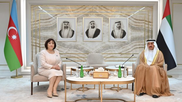 Azərbaycan ilə BƏƏ arasında parlamentlərarası əməkdaşlıq müzakirə edildi - FOTO