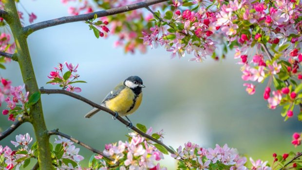 GÜNÜN HAVASI: 28 dərəcə isti...