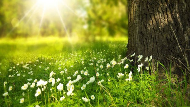 Sabah 29 dərəcə isti olacaq &ndash; PROQNOZ