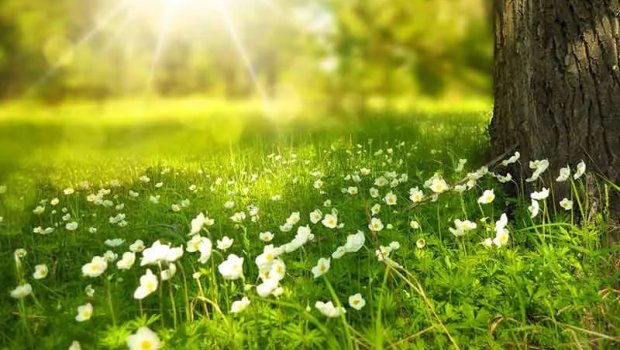 Sabah 31 dərəcə isti olacaq &ndash; PROQNOZ