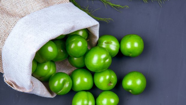 Alça bu insanlara qəti QADAĞANDIR &ndash; ARAŞDIRMA