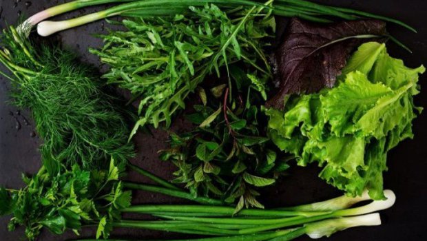 Hansını seçmək DAHA FAYDALIDIR? - Cəfəri yoxsa şüyüd